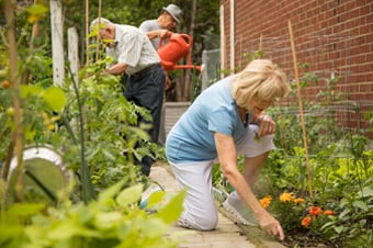 Trois residents passent leur temps au jardin communautaire de la residence